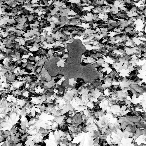 Мобильный квест в Петербурге «Тайны Смоленского кладбища»