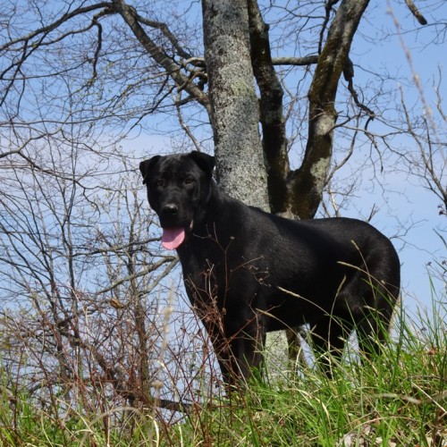 Перезагрузка в горах и на море в мини-группе