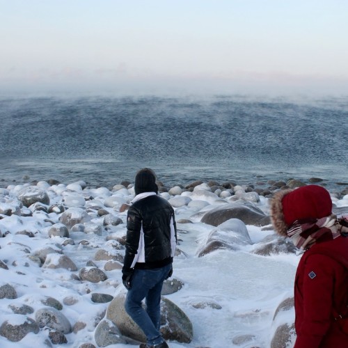 Териберка, Мурманск и деревня саамов: приключения на Кольском с поездкой за сиянием и поиском китов