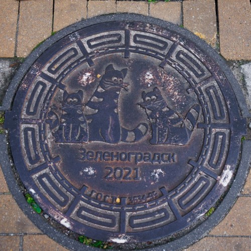 На майские в город кошек: выходные в Зеленоградске с прогулкой по Калининграду и Кушской косе