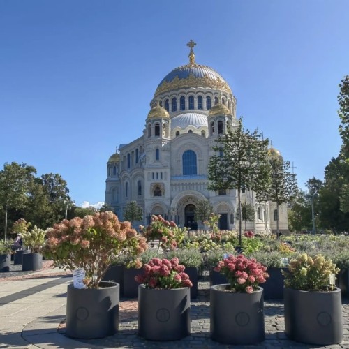 В морской пригород Петербурга — Кронштадт