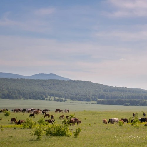 Природные чудеса Хакасии: урочище Сундуки, Ивановские озёра, Каменный лес и Долина царей
