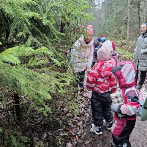 По следам кабанов: поход-экспедиция для юных туристов и их родителей (из Санкт-Петербурга)