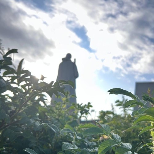 Арктические приключения: морская прогулка в поисках китов, Териберка и этническая деревня