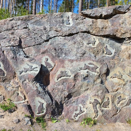 Карельские выходные в своей компании: «Марциальные Воды», «Кивач» и дополнительные активности