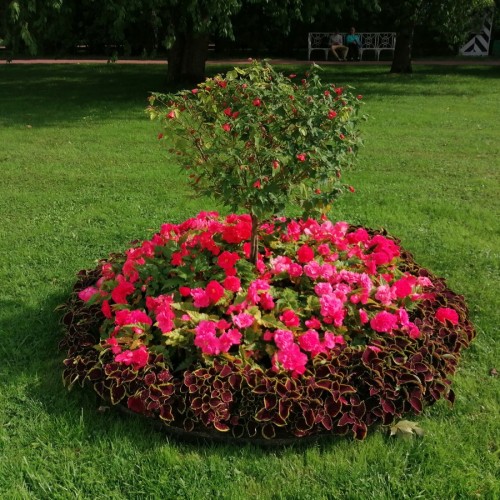 Велоэкскурсия по Царскому Селу