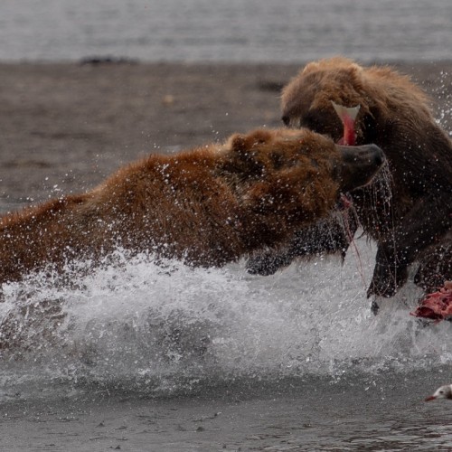 Увидеть душу Камчатки: джип-тур по неизведанным местам с круизом по Курильскому озеру (всё включено)