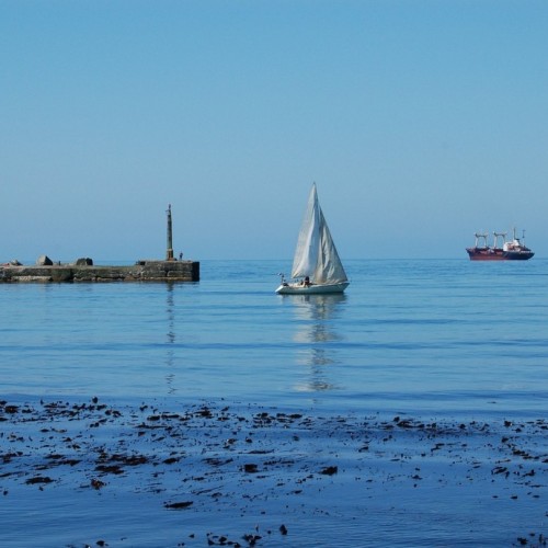 Путешествие на Дальний Восток: Сахалин и Кунашир