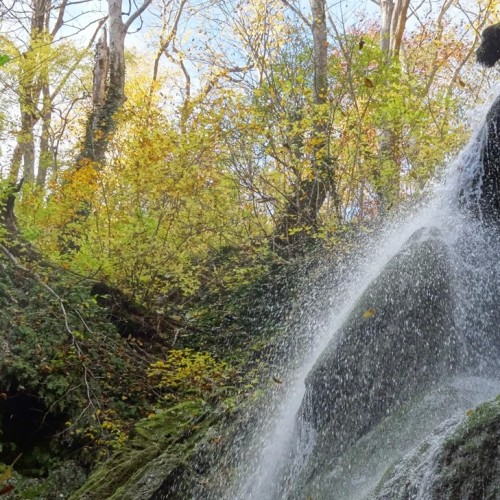 Перезагрузка в горах и на море в мини-группе