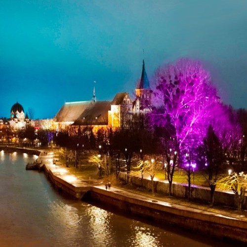 Первый раз в Калининград: истории знаковых мест и редко посещаемых локаций