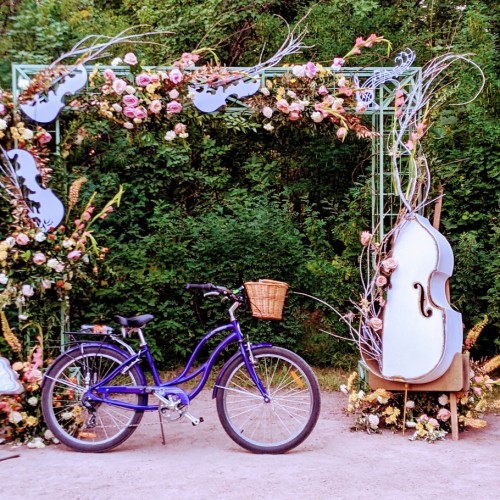 Неповторимое очарование Павловского парка: экскурсия на велосипеде