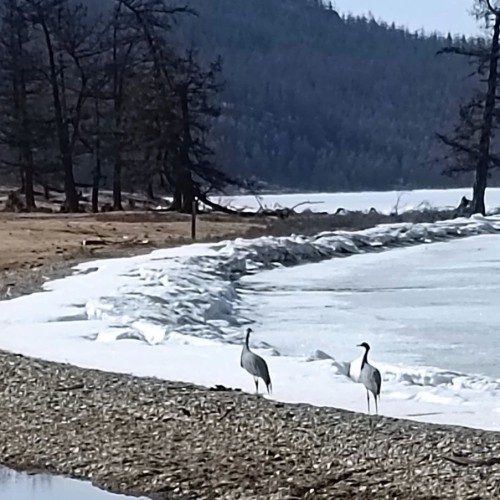 Приключение в Монголии: восхождение на высочайшую вершину Саян (из Иркутска)