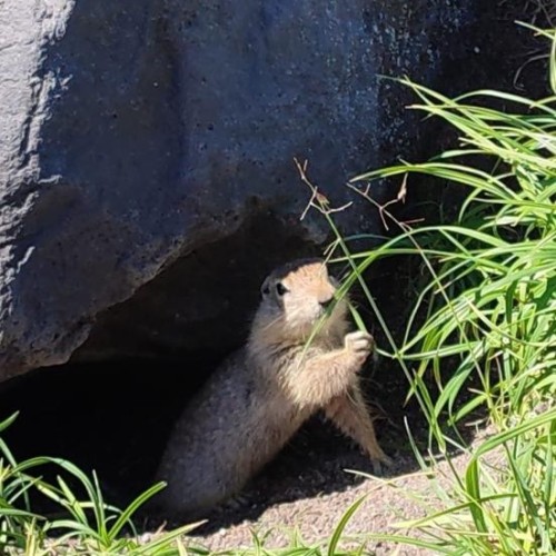 Камчатка в мини-группе: перевалы, бухты, сопки и купание в природных источниках