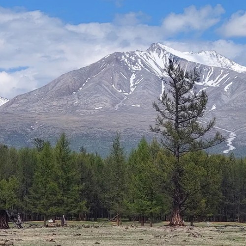 Подальше от цивилизации к озеру Хубсугул: индивидуальная поездка по Северной Монголии из Иркутска