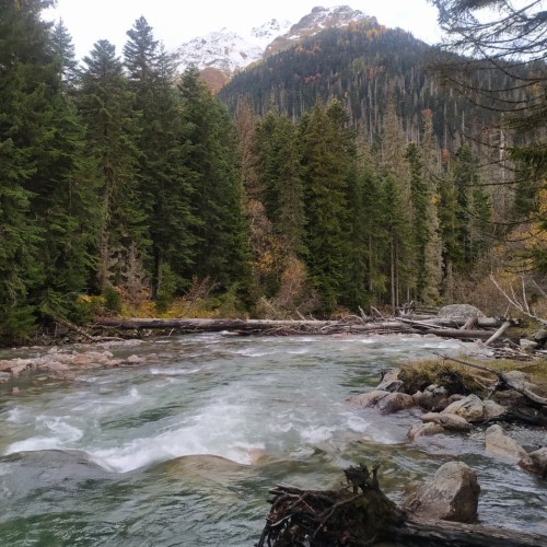 Природные и исторические сокровища Домбая и Архыза: джип-выезд в сердце Кавказа