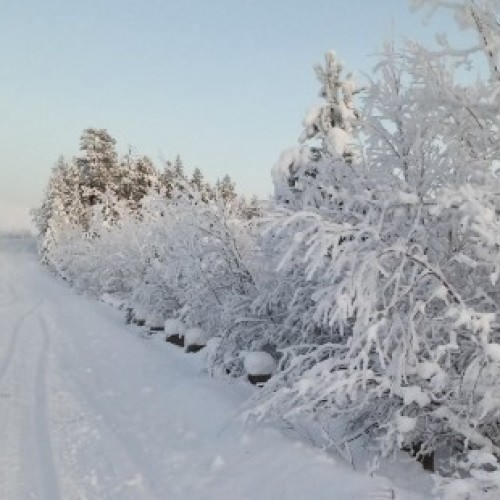 Уик-энд на Кольском: Териберка, Мурманск и день с программой на выбор
