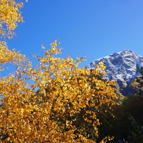 Семейный треккинг в Дигории с размещением в гостинице
