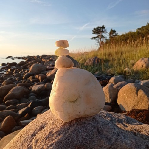 Путешествие на Соловки: погружение в историю, прогулки на катере, лодке и пешком