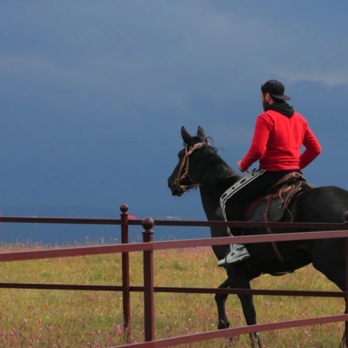 Наедине с Кавказом: вкусная перезагрузка в горах