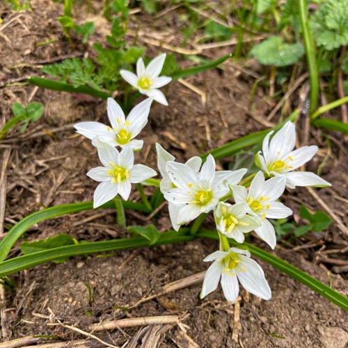 Весенний Архыз: треккинг налегке с проживанием в гостинице