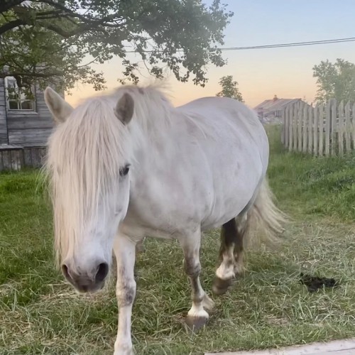 Индивидуальный джип-выезд по Терскому берегу в формате «всё включено»