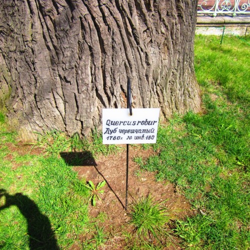 Императорские резиденции: Ораниенбаум (Ломоносов)