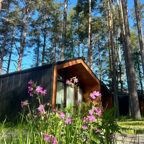 Аромат леса и сила воды: перезагрузка в Карелии с проживанием в глэмпинге