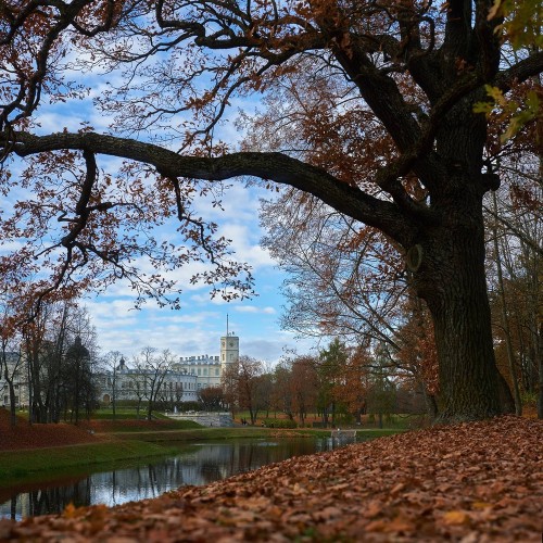 Дворцово-парковый ансамбль в Гатчине — из Петербурга