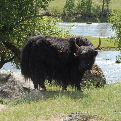 На внедорожнике по Бурятии и Монголии: 3 дня с видом на вершины Восточного Саяна (мини-группа)