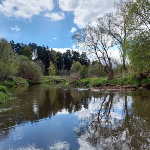 Первый раз с веслом в руках: лёгкий сплав по реке Воре (всё включено)
