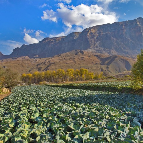 Выше облаков на 3760 метров на гору Шалбуздаг: треккинг налегке с проживанием в гостинице
