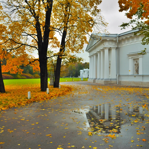 Семейная прогулка по Елагину острову с иммерсивным аудиогидом