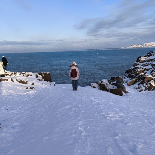 Арктический экспресс на внедорожнике: Мурманск, Кола и Териберка только для вашей компании