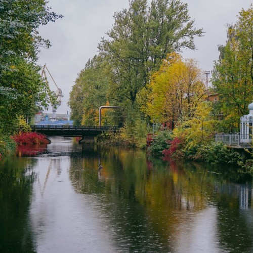 Остров мельника Матиса — в Петербурге