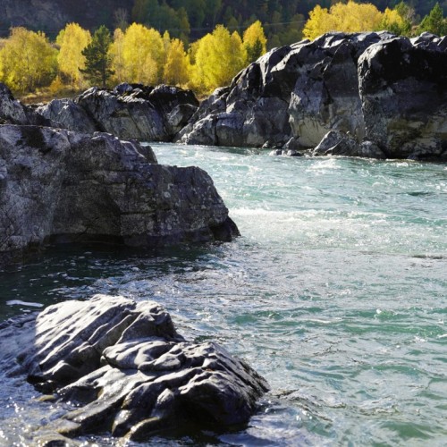 Золотой маршрут Алтая в золотую осень: индивидуальный тур