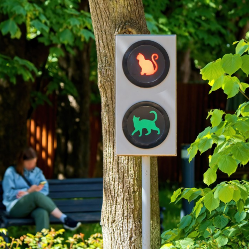 Уютный тур по Калининграду и окрестностям в мини-группе