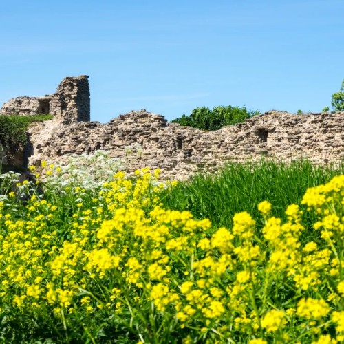 Скрытые жемчужины Ленинградской области: поездка из Петербурга