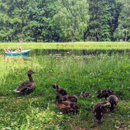 Детская экскурсия по Павловскому парку «Обитель муз»