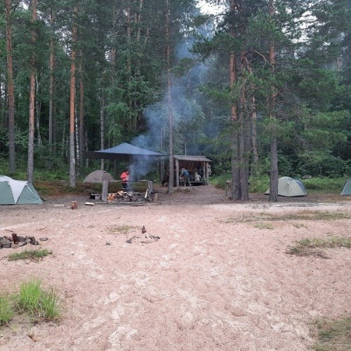 Путешествие в Кенозерье под парусом: наедине с природой и историей (всё включено)