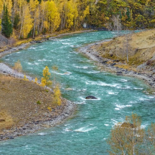 50 оттенков золота: путешествие по сентябрьскому Алтаю в мини-группе