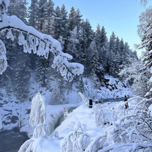 Карелии снежный узор: топовые места, зимние активности и прогулки на природе