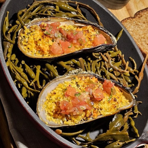 Океан впечатлений в Арктике: айс-флоатинг, северное сияние, морская прогулка и гастрономия