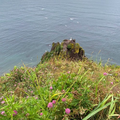 Камчатка в мини-группе: перевалы, бухты, сопки и купание в природных источниках