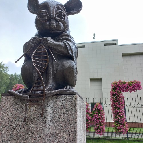 Новосибирск + Академгородок