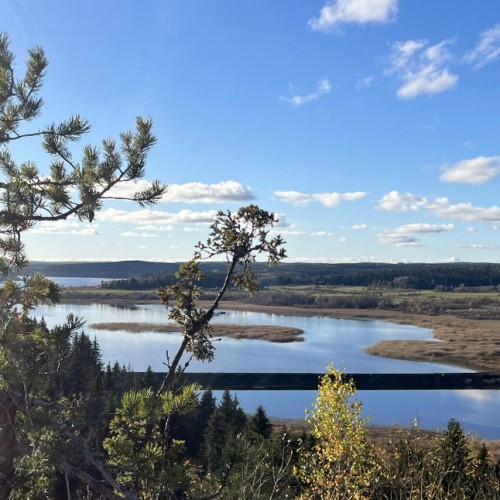 Перезагрузка в Карелии: йога, прогулки на природе и главные места (из Санкт-Петербурга)