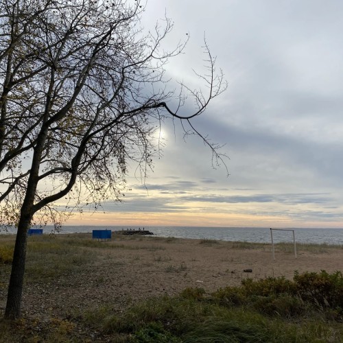 Комарово и дачный Петербург