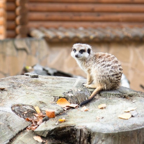В сердце Западной Сибири: знакомство с Новосибирском, мир золота и монет и гастропрограмма