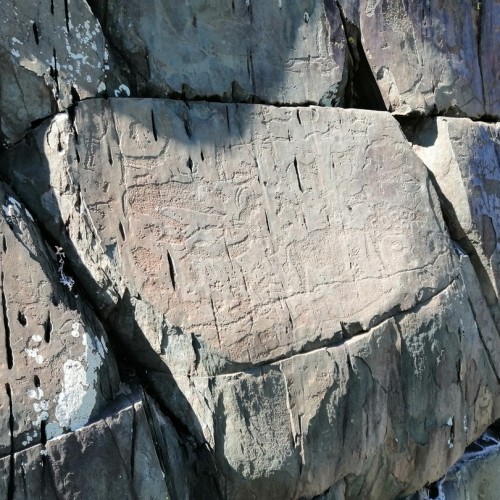 Автовыезд только для вашей компании: от Горно-Алтайска до границы с Монголией