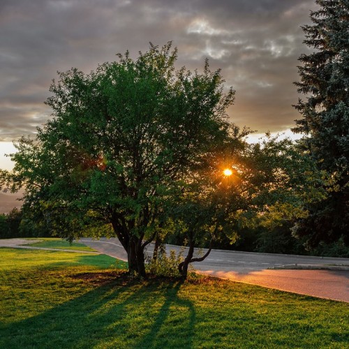 За раз весь Северный Кавказ: большое путешествие по всем республикам