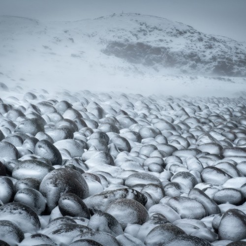 Новогодний отпуск в Териберке с праздничным ужином, арктическими блюдами и морскими деликатесами